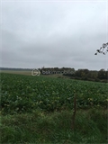 Photo numero 44842629 du bien UBI445580702